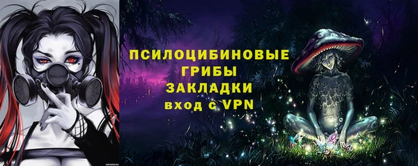 крисы Абаза