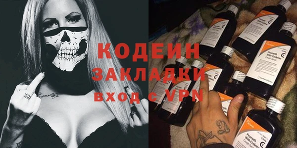крисы Абаза
